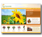 Sample Design - Blooms Florist - Great Web Sites Now .com